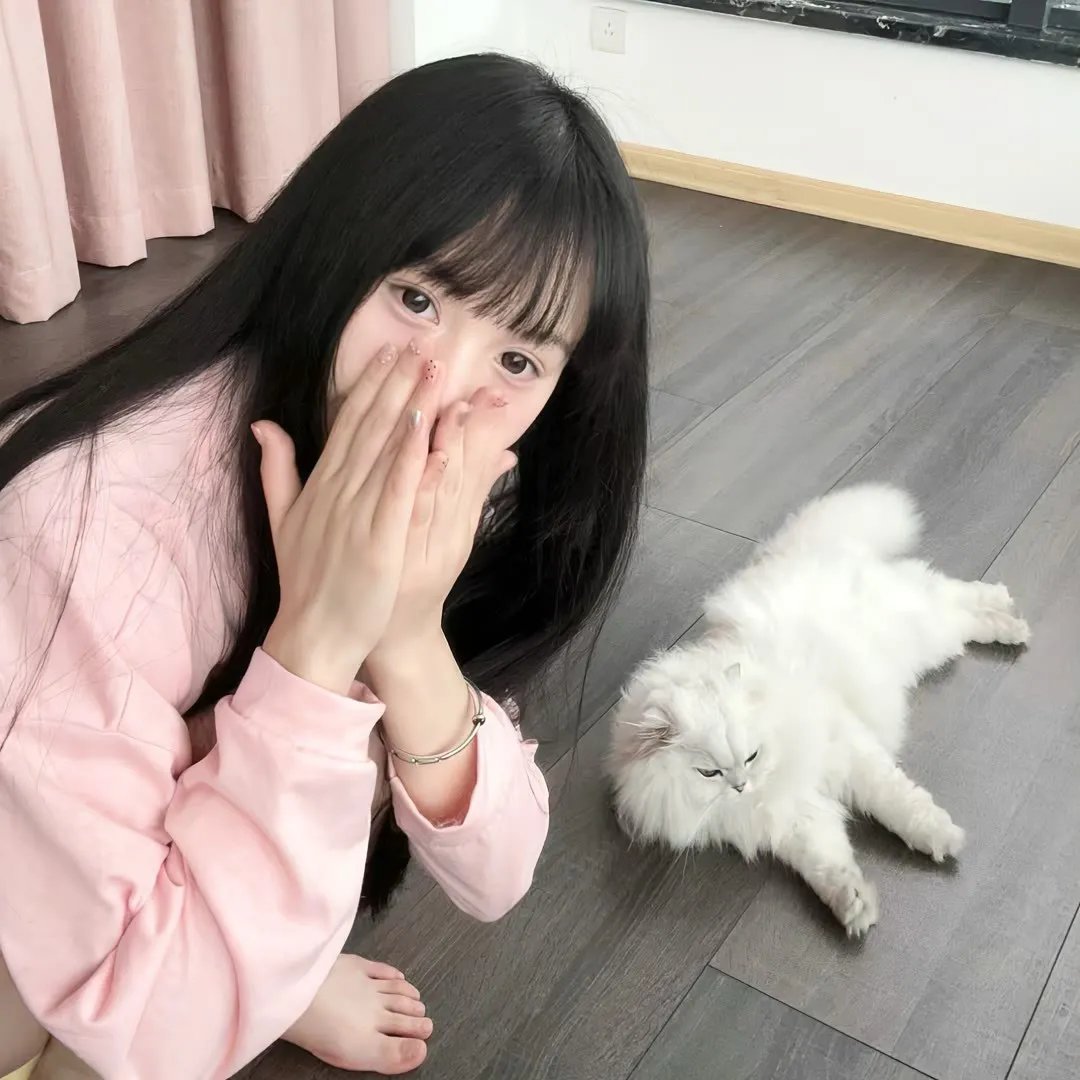 新十二生肖